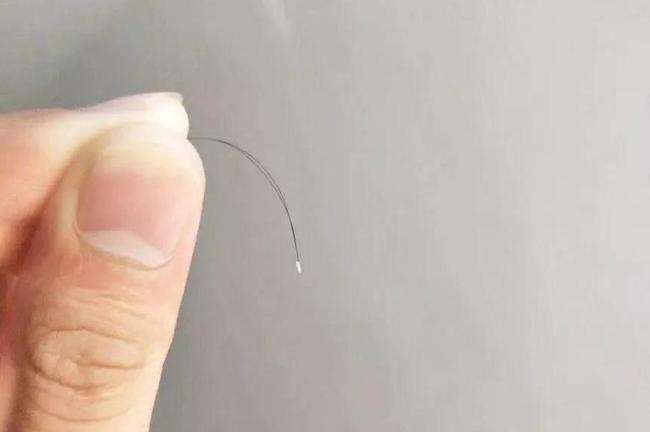 毛发样本采集