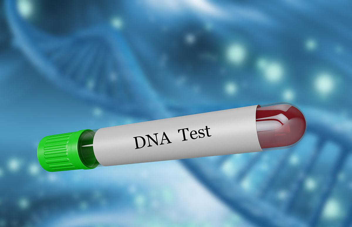 DNA亲子鉴定与传统血缘测试的区别：重庆科普专家解析