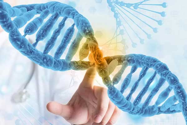 重庆亲子鉴定机构如何用科技揭开血缘谜团？真实案例解析